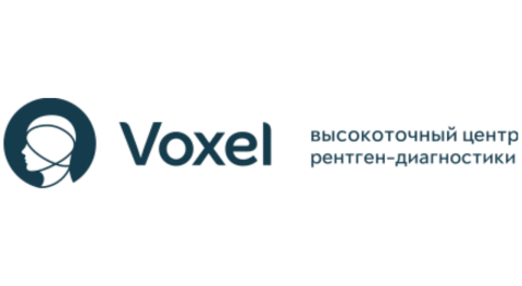 Voxel